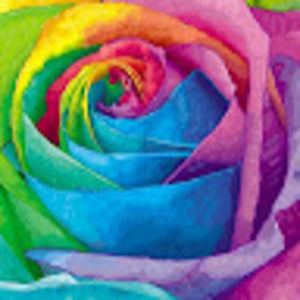 Meet your Posher, Clairice